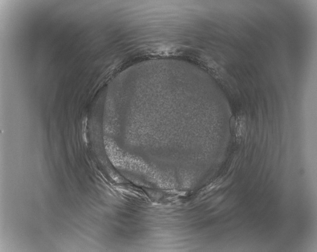 X0000064051202200602171701