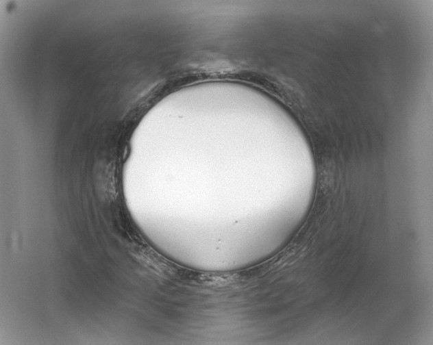 X0000064051205200602171701