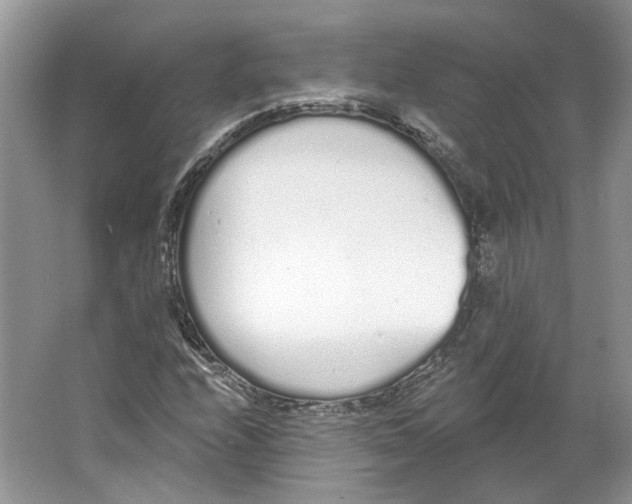 X0000064051208200602171701