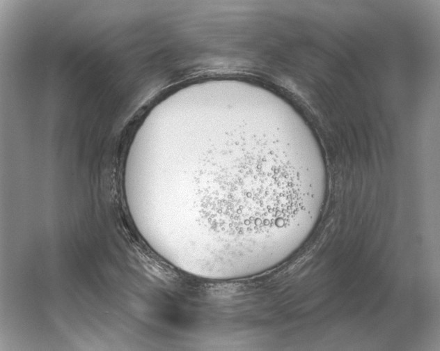 X0000064051211200602171701