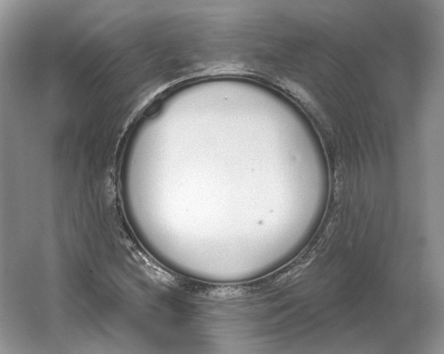 X0000064051212200602171702