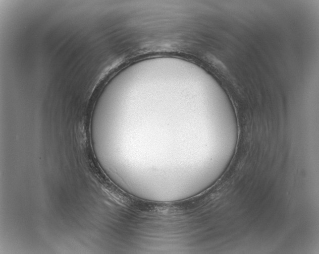 X0000064051218200602171702