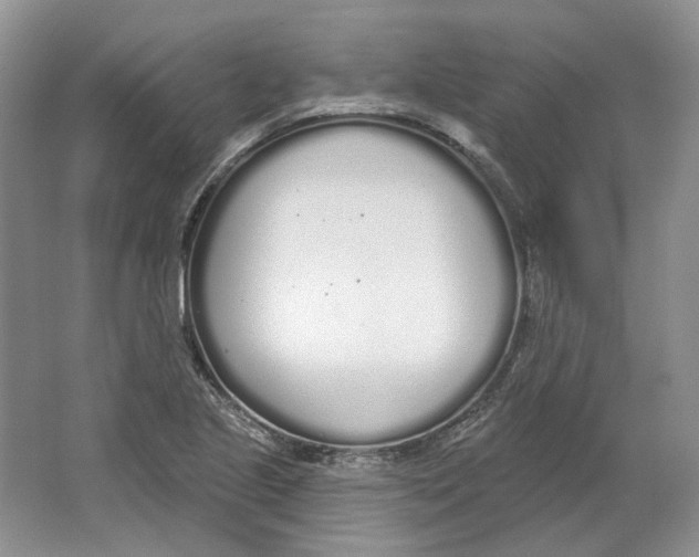X0000064051221200602171702
