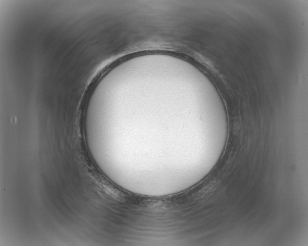 X0000064051222200602171702
