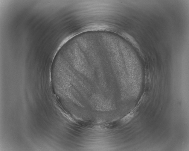 X0000064051226200602171702