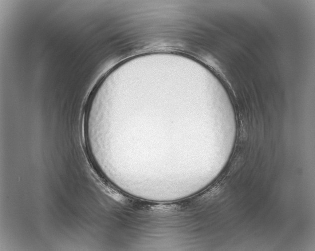 X0000064051227200602171702