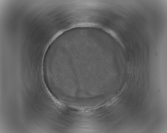 X0000064051229200602171702