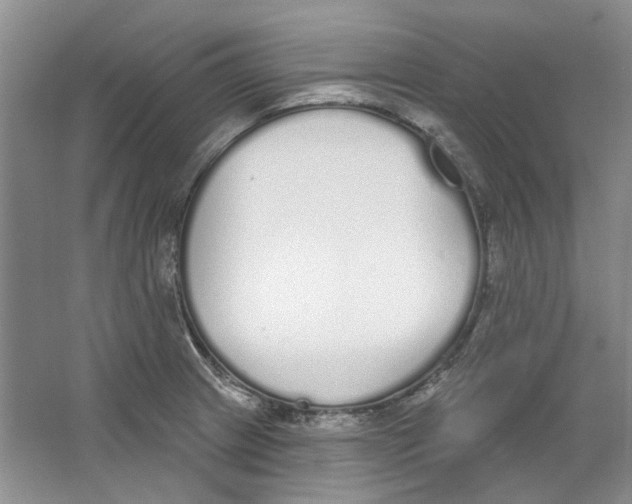 X0000064051233200602171702