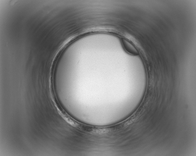 X0000064051237200602171702