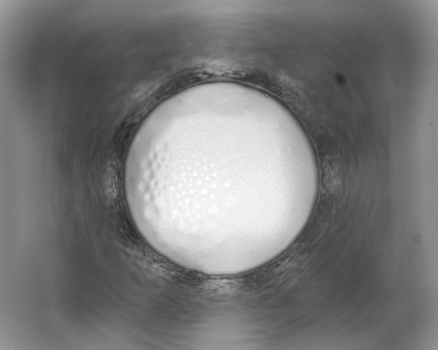 X0000064051253200602171701