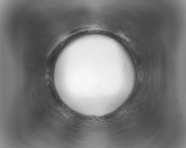 X0000064051255200602171701
