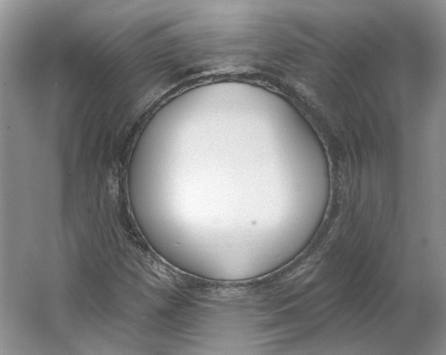 X0000064051257200602171701