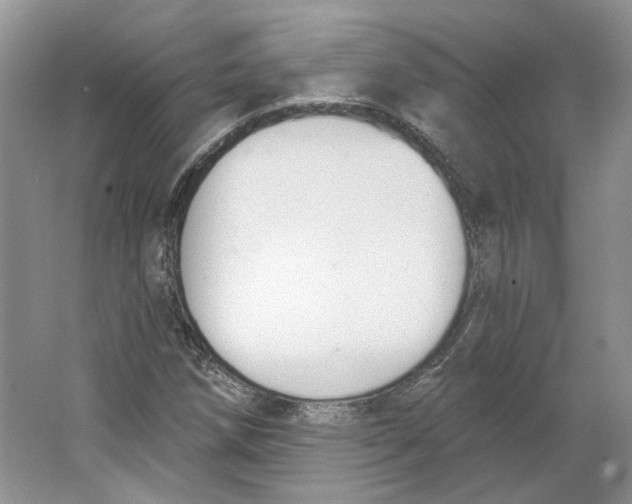 X0000064051258200602171701