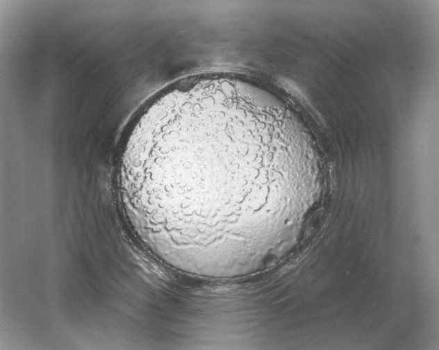 X0000064051260200602171701