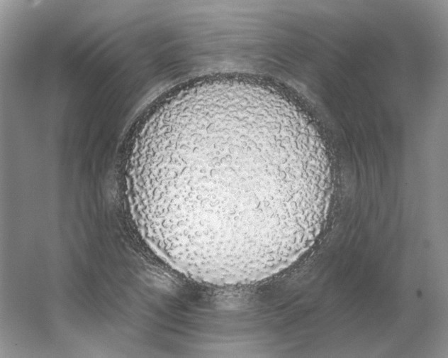 X0000064051266200602171701