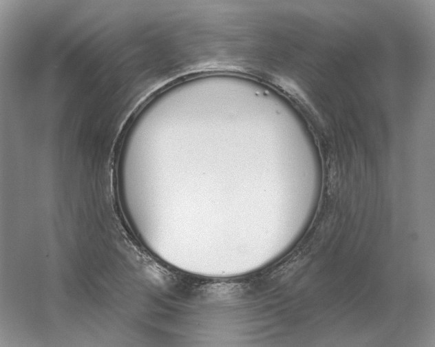 X0000064051268200602171701
