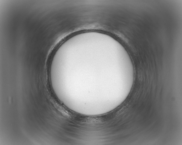 X0000064051270200602171701