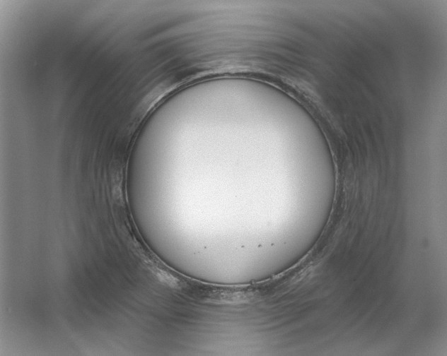 X0000064051273200602171701