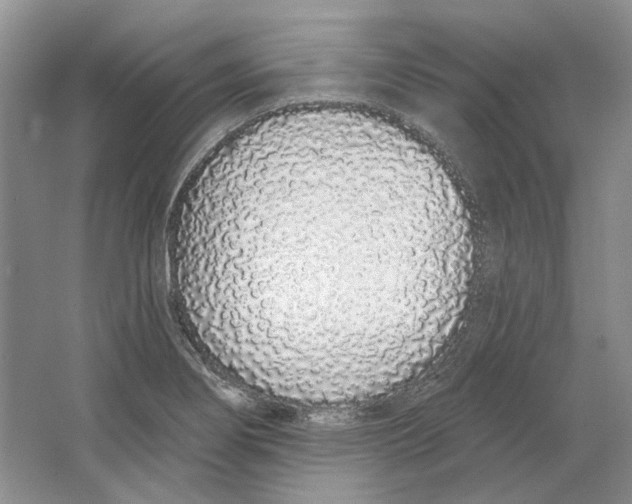 X0000064051274200602171701