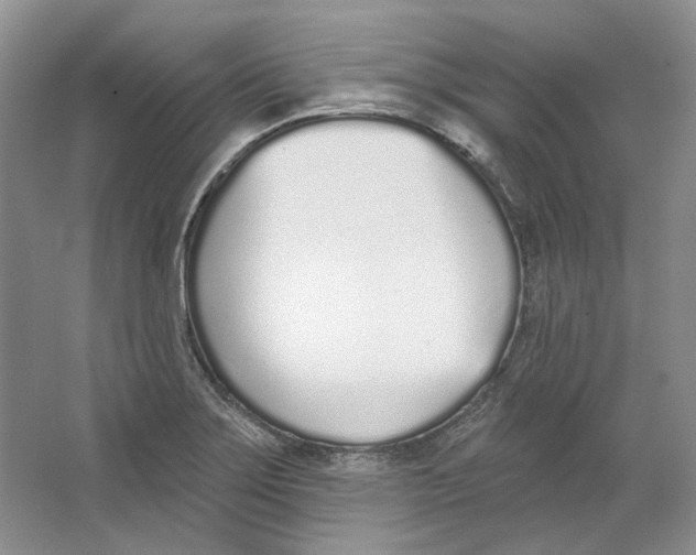 X0000064051275200602171701