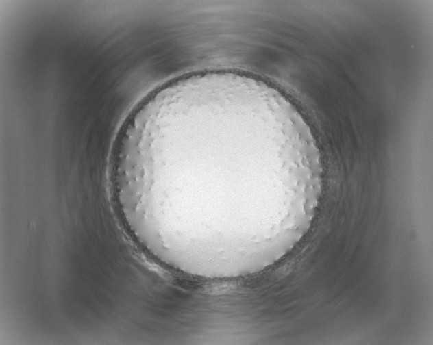 X0000064051278200602171701