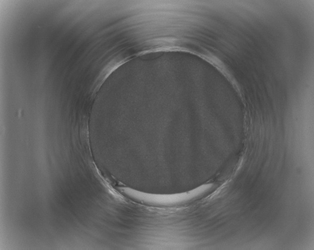 X0000064051289200602171701