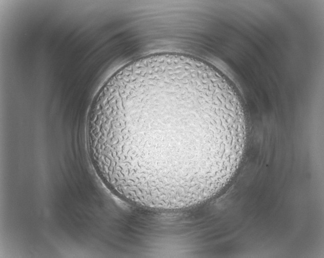 X0000064051290200602171701