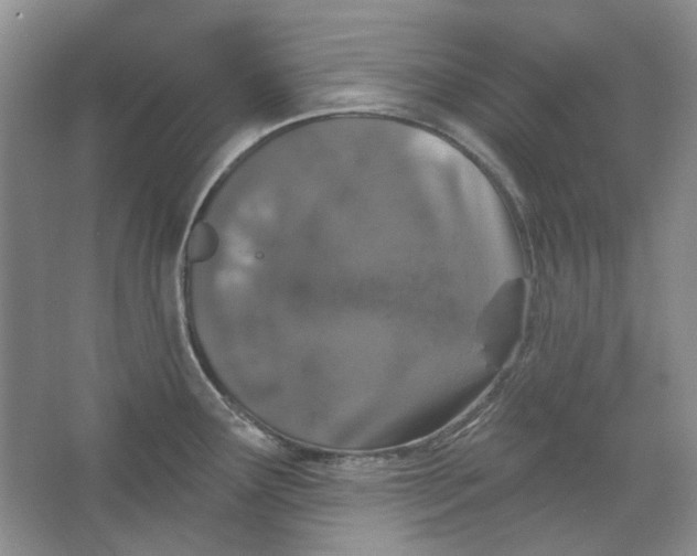 X0000064051291200602171701