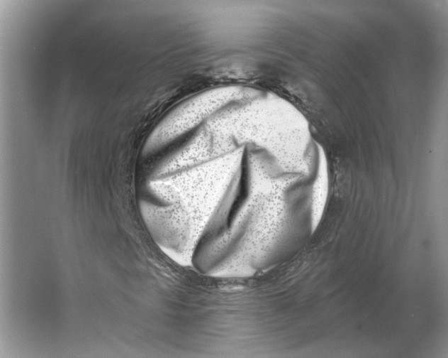 X0000064051297200602171700