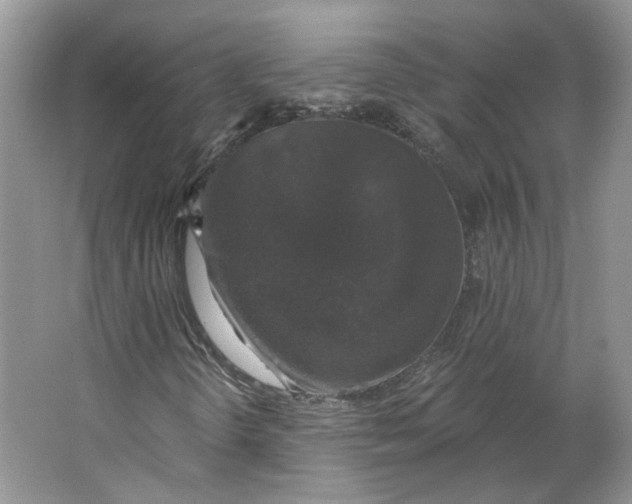 X0000064051298200602171700