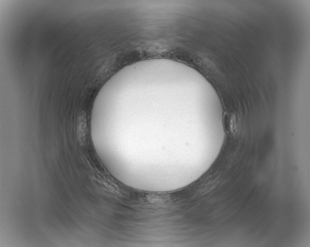 X0000064051299200602171700
