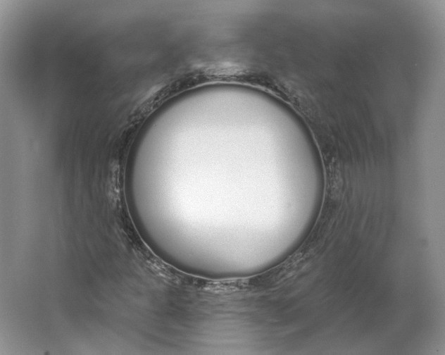 X0000064051301200602171700