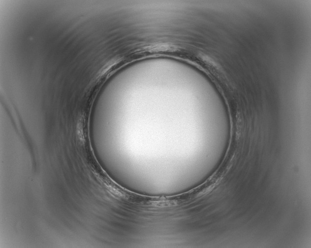 X0000064051305200602171700