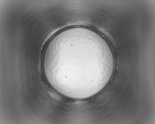X0000064051316200602171700