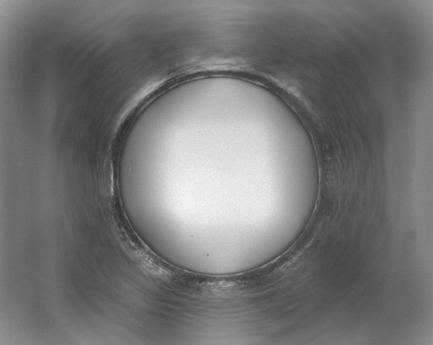 X0000064051317200602171700