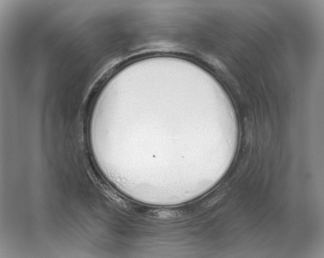 X0000064051318200602171700