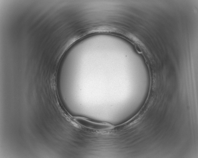 X0000064051329200602171700