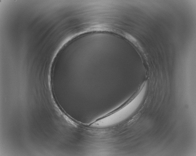 X0000064051334200602171700