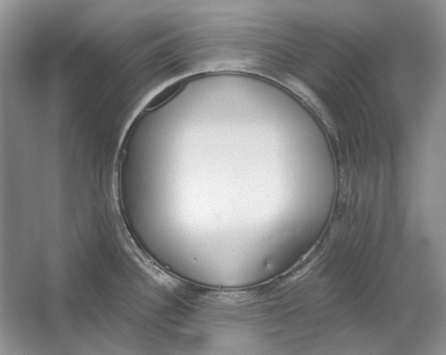 X0000064051340200602171700