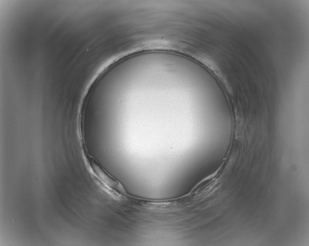 X0000064051342200602171700