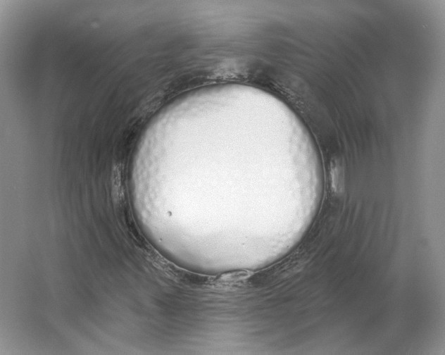 X0000064051347200602171700