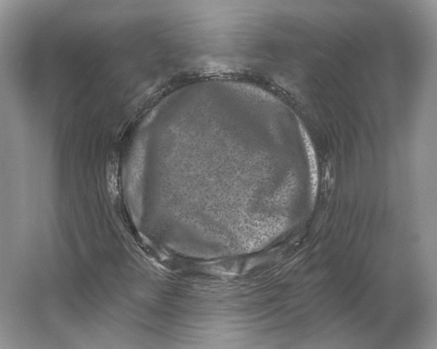 X0000064051348200602171700