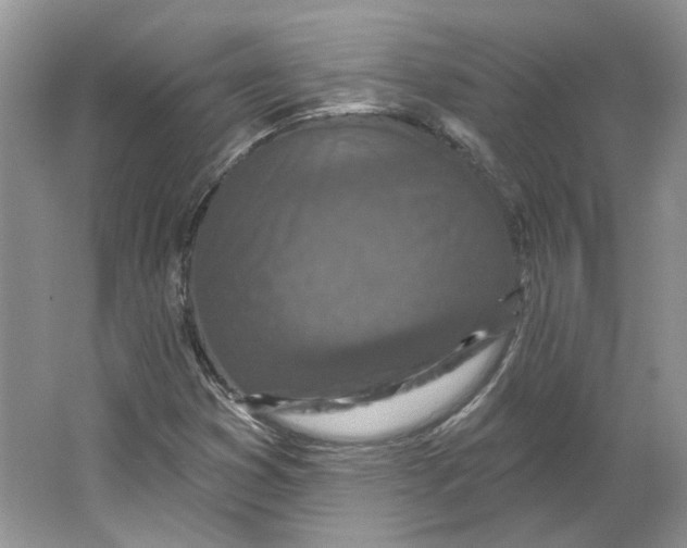 X0000064051353200602171700