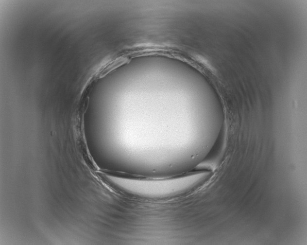 X0000064051357200602171659