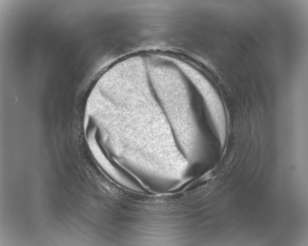 X0000064051359200602171659