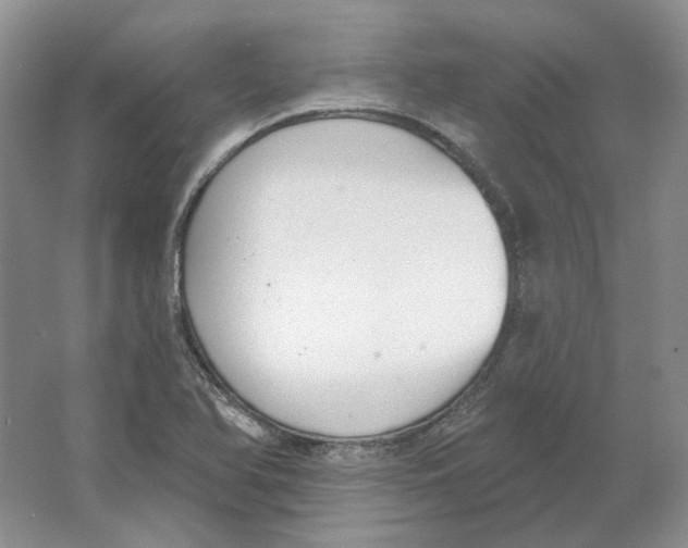 X0000064051366200602171659