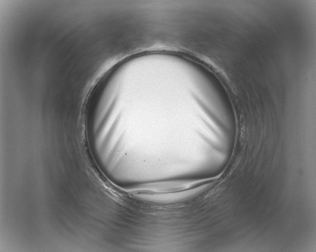 X0000064051367200602171659