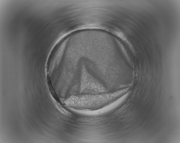 X0000064051372200602171659