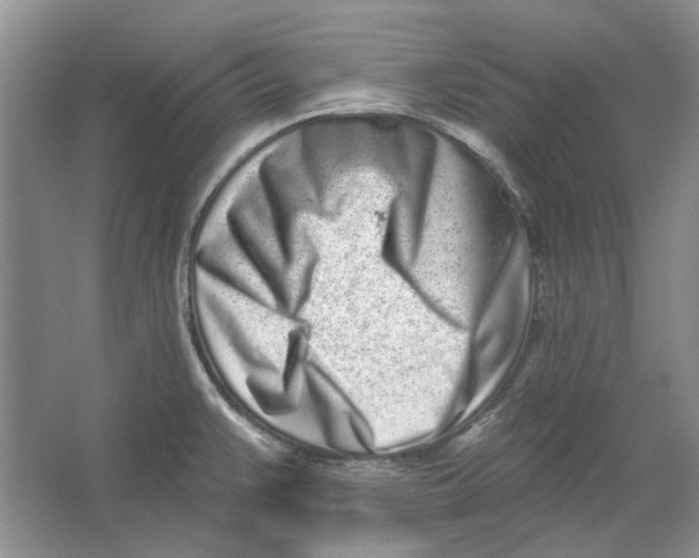 X0000064051383200602171659
