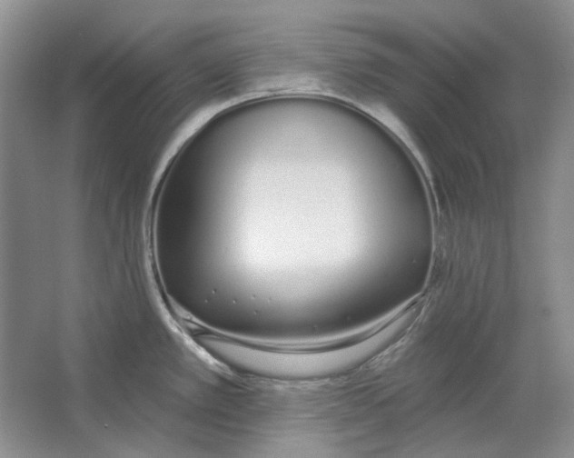 X0000064051389200602171659